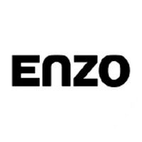 Enzo logo