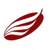 American Eagle Financial Credit Union logo