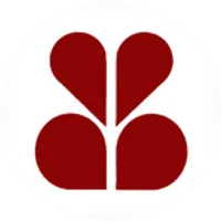 Brady National Bank logo