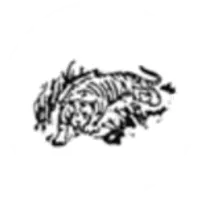 First National Bank in Tigerton logo