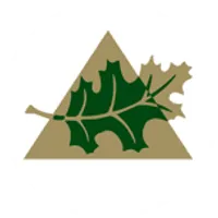 Franklin American Mortgage Company logo