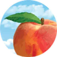 Peach State Federal Credit Union logo