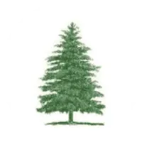 Pine Island Bank logo