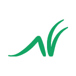 Grasshopper Bank - Business