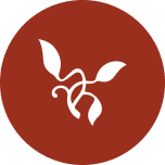 Caixa de Crédito de Leiria