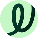 Loop Financial (US)